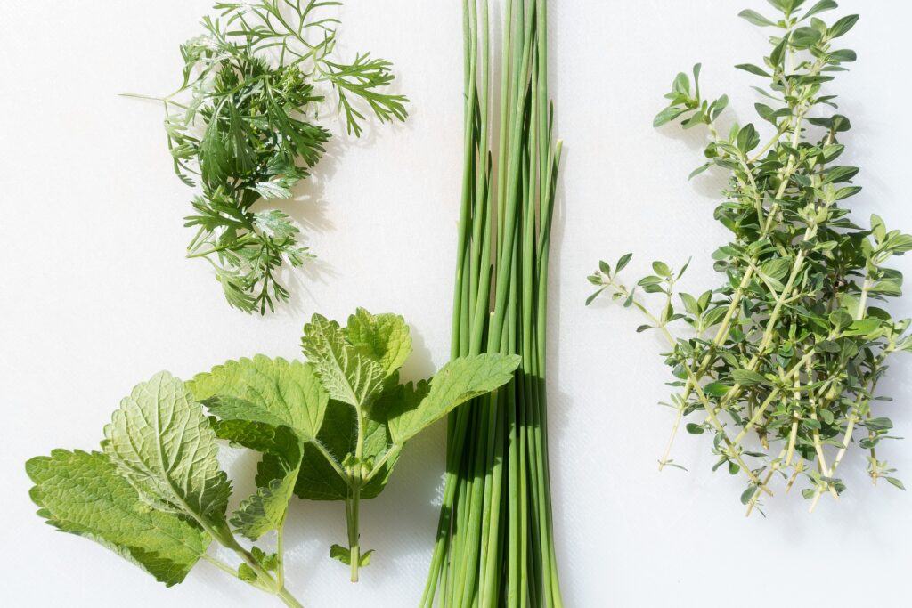  The 10 Easiest Herbs To Grow - Fresh Herbs For Cooking