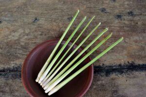  The 10 Easiest Herbs To Grow: Lemongrass