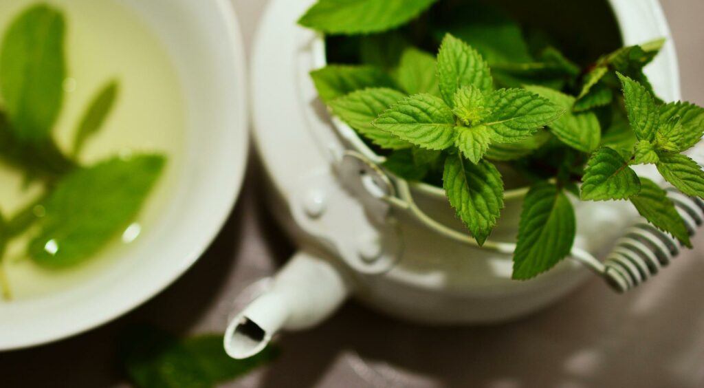 The 10 Easiest Herbs To Grow: Mint