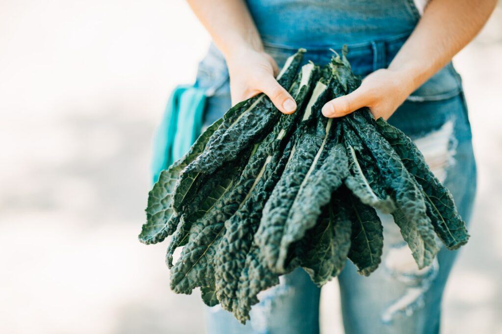 How To Grow Cavolo Nero - Woman Holding A Bunch Of Cavolo Nero