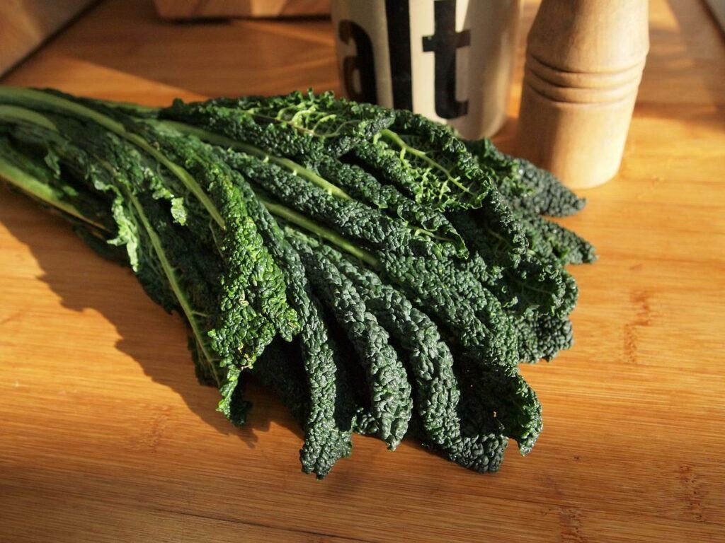 How To Grow Cavolo Nero - Ready For Cooking