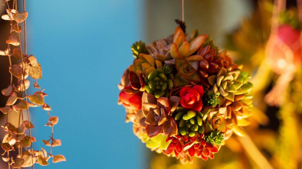 How To Make A Succulent Hanging Basket - A Succulent Spherical Orb