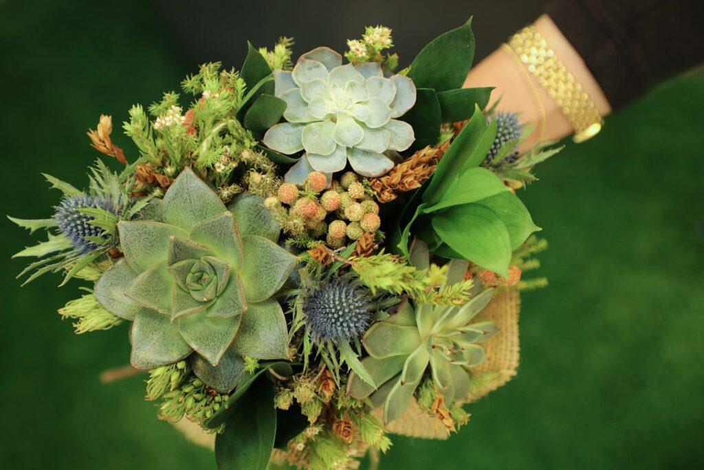 How To Make A Succulent Hanging Basket - Bouquet