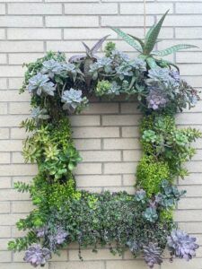 How To Make A Succulent Hanging Basket - Picture Frame