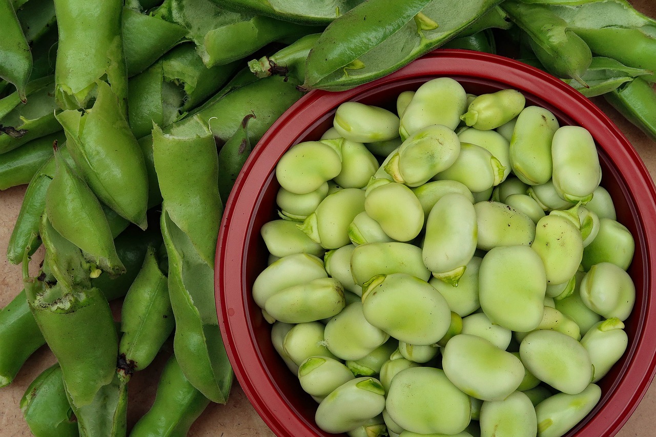 Why Are My Broad Beans Going Black? (Solved!) - Broad Beans Shelled In A Bowl