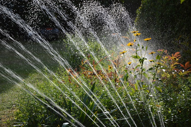 How Can I Save Water In My Garden? (Top 10 Ways) - Sprinkler Spraying Water