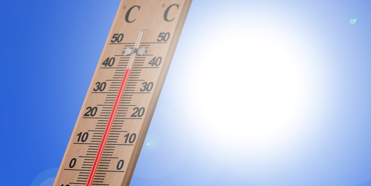 How Can I Save Water In My Garden? (Top 10 Ways) - Thermometer Showing 40 Degress Celcius Temperature