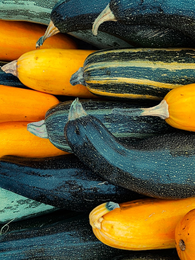 How To Grow Courgettes From Seed - Different Courgette Varieties