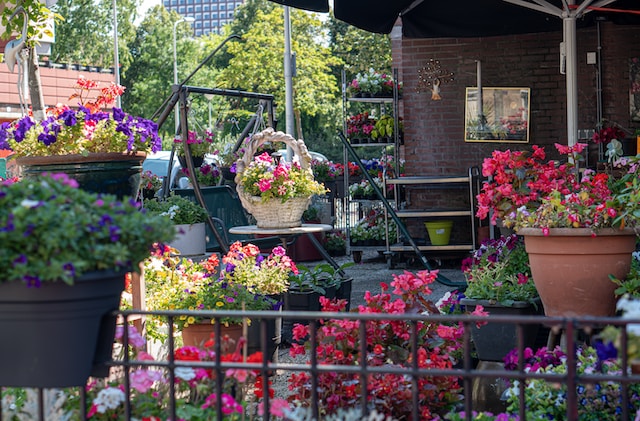 Gardening Ideas For Small Spaces - Container Garden