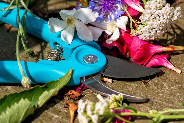Gardening Ideas For Small Spaces - Pruning Shears