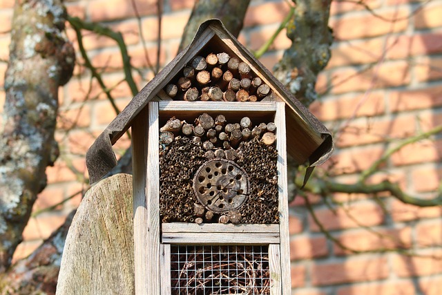 How To Promote Biodiversity In My Garden - Insect Hotel