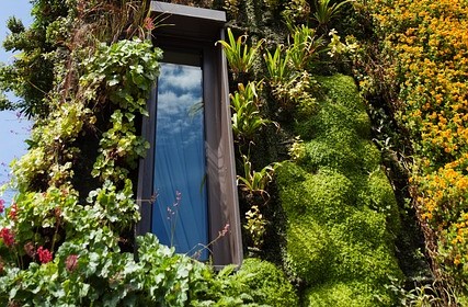 Small Herb Garden Design Ideas An Ultimate Guide - Living Wall