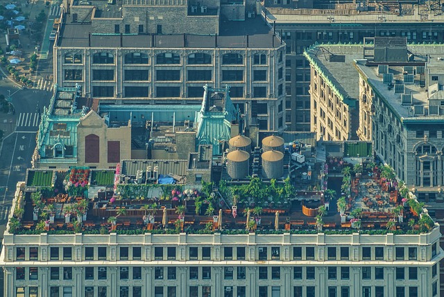 Urban Garden Design For Rooftop Spaces - Large Urban Rooftop Garden