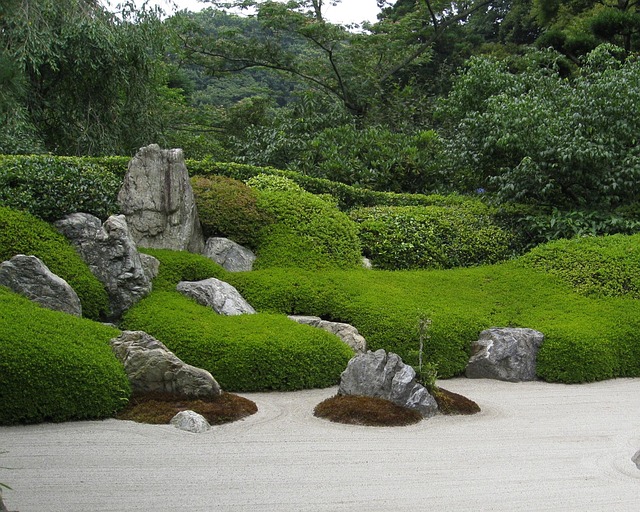 How To Create A Zen Garden - Moss Rocks And Gravel