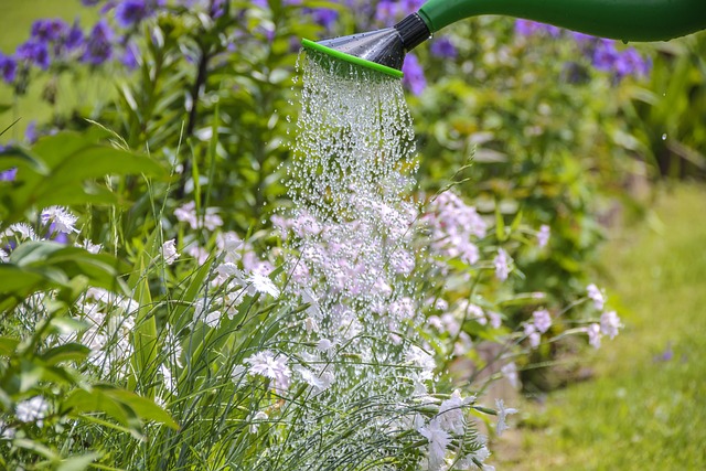 How To Design A Flower Garden - Watering A Flower Border