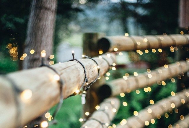 Light Up Your Garden Without Electricity - Fairy Lights