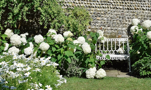 How To Design A White Garden - White Bench Next To White Flowers