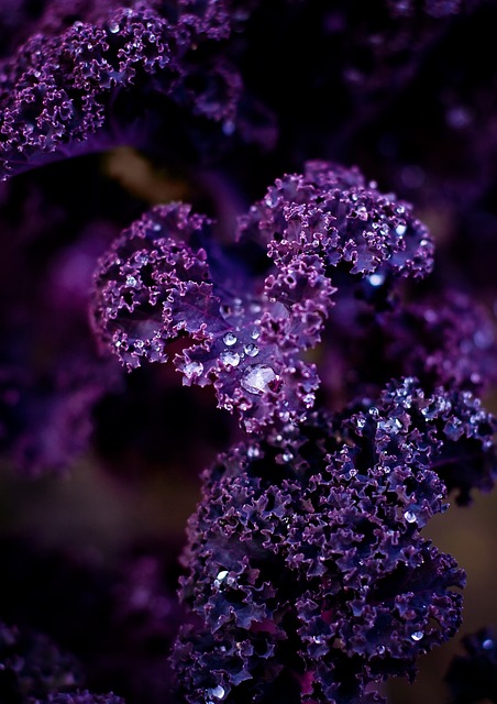 The 10 Best Purple Vegetables To Grow In 2024 - Purple Kale