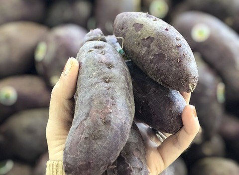 The 10 Best Purple Vegetables To Grow In 2024 - Purple Sweet Potatoes