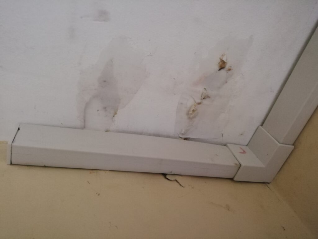 GBIS Review - Damaged Ceiling